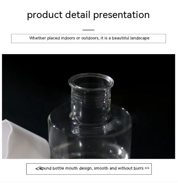 Transparent Small Hydroponic Plant Pot